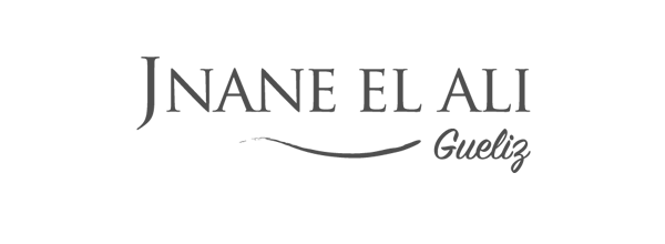 logo-lamine-web_Plan-de-travail-1-copie-2