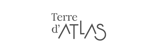 logo-lamine-web_Plan-de-travail-1-copie-3 (1)